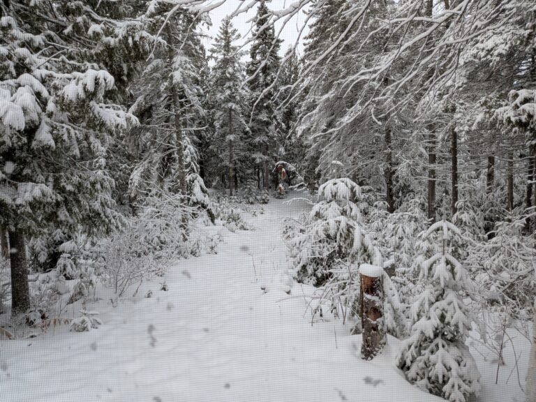 A Beautiful Winter Season