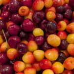 Harvest Sweet Memories in Door County