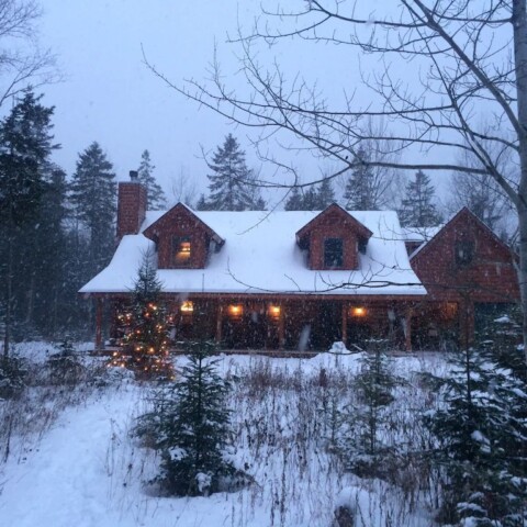 Winter Snowfall